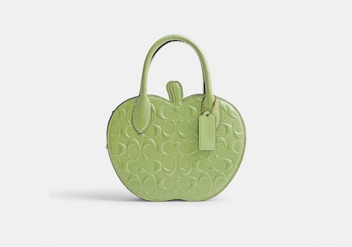6 Best Runway Shape Bags: Elevate Your Fashion Game with These Runway-Inspired Shape Bags